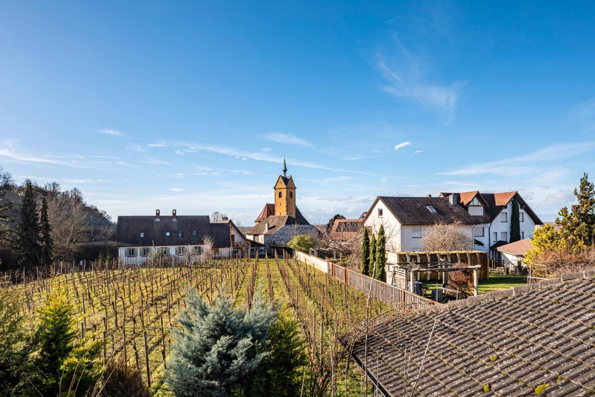 Gaestehaus - Im Gaertle Niederrotweil Exteriör bild